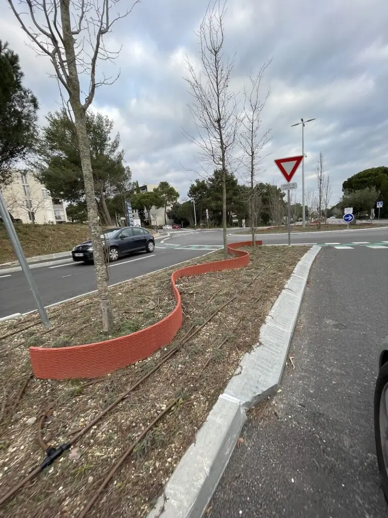 Carsey_Impression_3D_32-768x1024